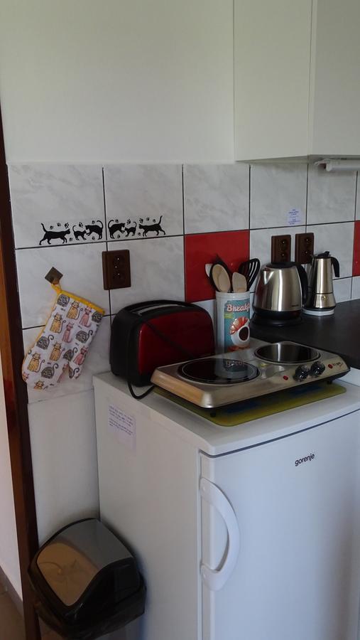 בלנסקו Apartman U Kocky מראה חיצוני תמונה